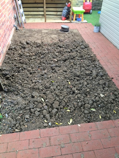 Beginners veg patch?