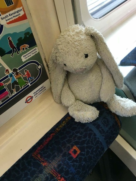 Found a toy bunny outside the House of Commons