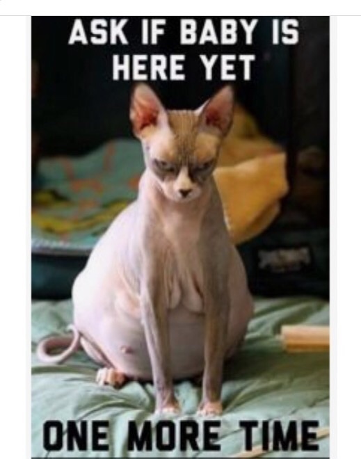 July 2016 (10) - the final thread for bumps!