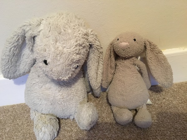 Found a toy bunny outside the House of Commons