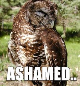 Le Tour de France 2016! - MN Peloton takes to the road again!