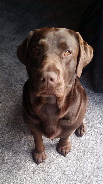 Thread #9 - TTC#1 grads thread - it's the final countdown