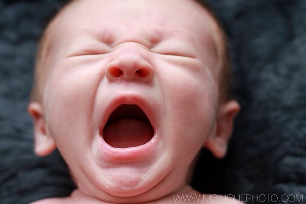 To hate newborn photoshoot pictures?