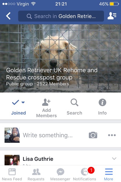 We'd like a dog. Where do we start?