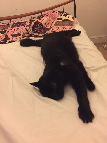 Who's got a hot pussy?
