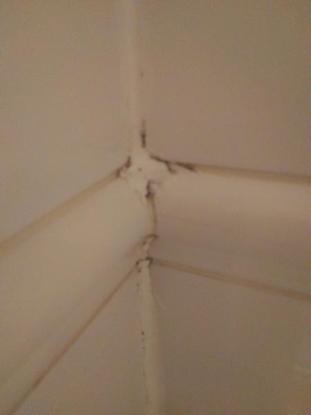 Black mould in a bathroom - any ideas?