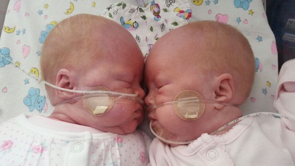 To hate newborn photoshoot pictures?