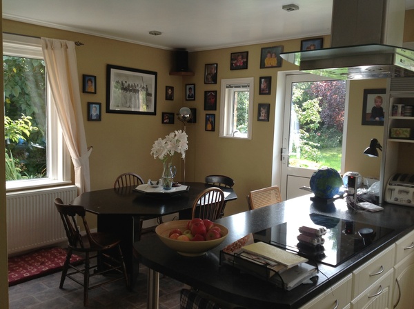 Help please!  What colour to paint the kitchen/diner?