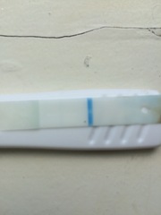 Second test in a twin pack..
