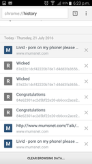Livid - porn on my phone! please help