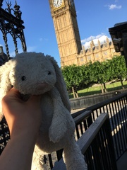 Found a toy bunny outside the House of Commons