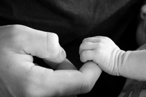 To hate newborn photoshoot pictures?
