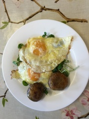 Week 9 - Pre-summer Low Carb Bootcamp - our last two weeks!