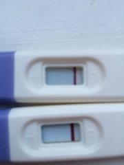 line on superdrug early pregnancy test