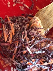 My big fat 800 calorie blood sugar diet diary, all welcome