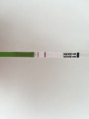 Would you say this opk is positive?