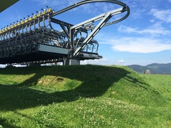 Brave Babes Battle Bus - Holding our heads up like thistles