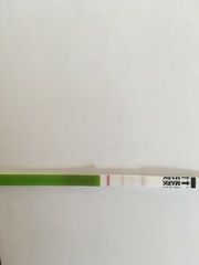 Would you say this opk is positive?