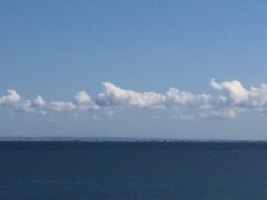 I can't think of a witty title, so here is July's Frugaleer Thread! All welcome.