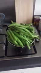 Allotment/Veg Patch Thread 6 -  Weed 'em and Reap!
