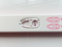 line on superdrug early pregnancy test