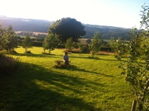 Campsite with pre-erected tents/yurt etc next to normal pitch..?