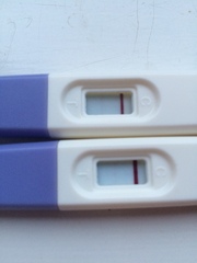 line on superdrug early pregnancy test