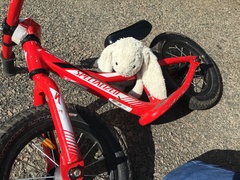 Found a toy bunny outside the House of Commons