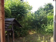 Garden Clearance Responsibility?