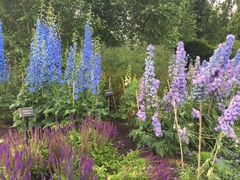 "in the midst of winter, I found there was within me, an invincible summer" Potting shed chat continues here