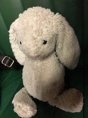 Found a toy bunny outside the House of Commons