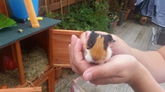 Trevor has had babies (pictures)