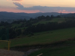 Brave Babes Battle Bus - Holding our heads up like thistles