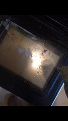 I've just discovered I love..