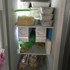 Thread #8 - TTC#1 Grads - stripy bump photos ahoy!