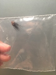 Anyone seen this before???