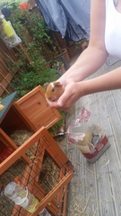 Trevor has had babies (pictures)