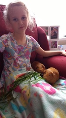 So, did you know today is Guinea-Pig Appreciation Day?