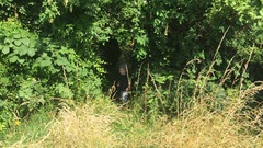 Garden Clearance Responsibility?