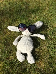 Found a toy bunny outside the House of Commons