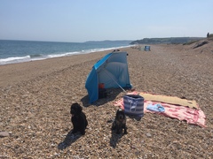 August 2016 Babies (thread 6) - Ready to Pop!