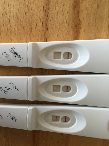 Positive opk after a miscarriage