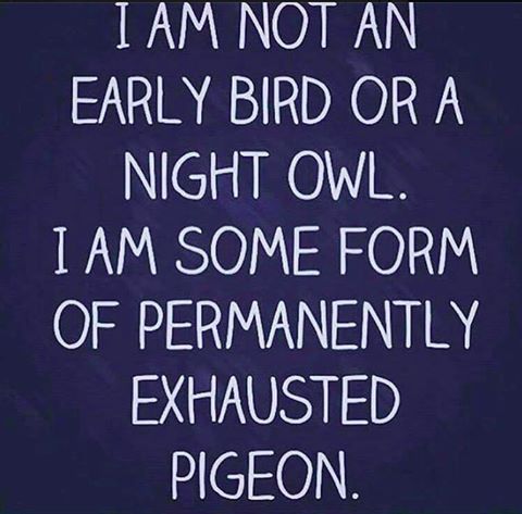 To refer to myself as a 'tired, clapped out old broad'
