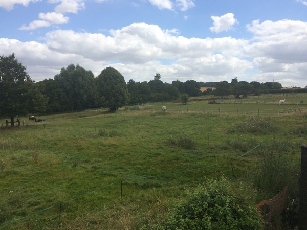 Help me plan my garden - I haven't a clue what I'm doing