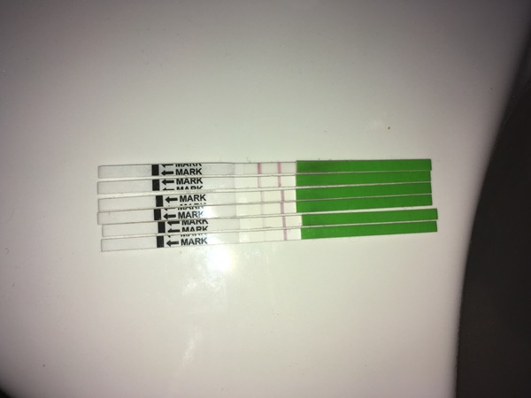 OPK's and endometriosis hell