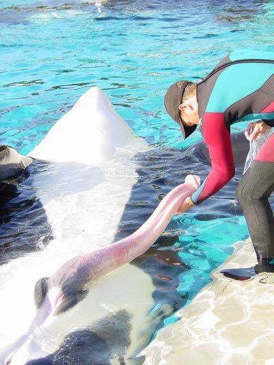 To complain to the zoo about the wanking monkeys?