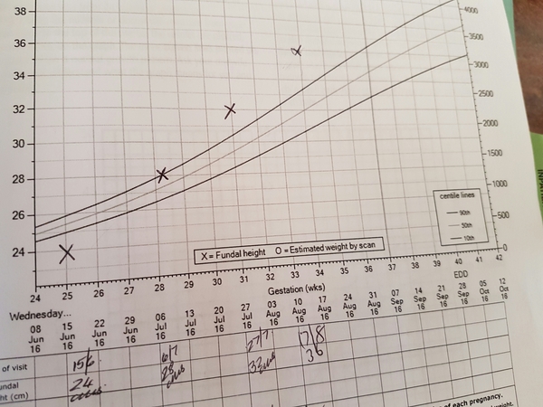 Thread #10 - TTC#1 Grads Thread - Babies Ahoy