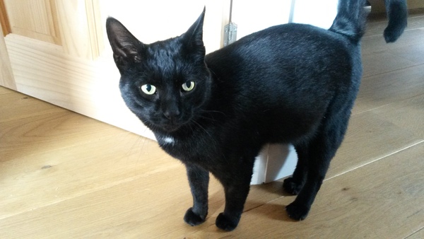 Swagger Inn Thread 136 - Series 3 Finishes - wenches wail piteously, don black crepe and mourn the lack of Musketeers on screen