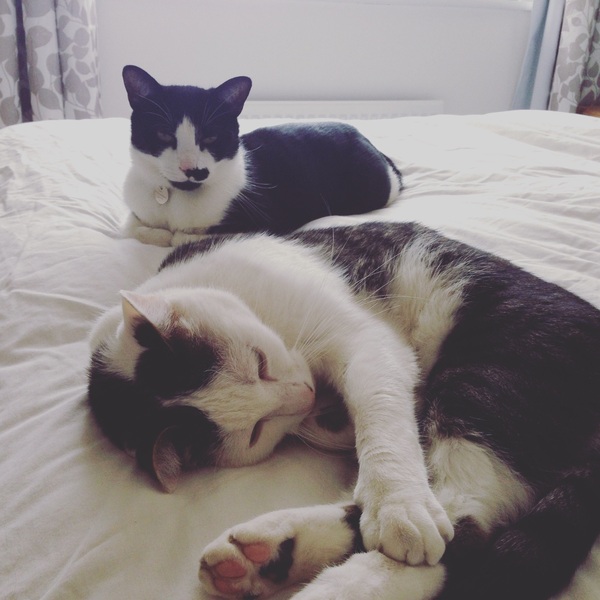 Staying posifrickentive- Thread 10 for ladies pg after mc