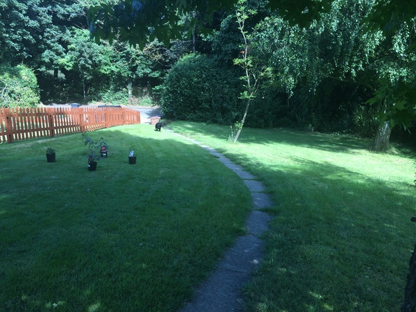 Help me plan my garden - I haven't a clue what I'm doing